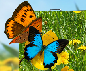 kaiyun开云小间距LED显示屏的魅力所在