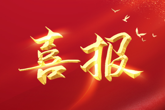 喜报 | kaiyun开云led球形屏成功入围“深圳企业创新纪录”！ 