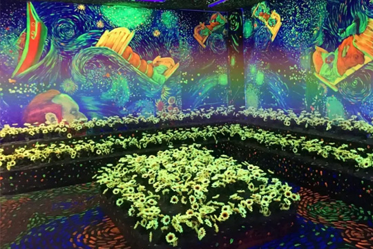 LED双色显示屏:科技与视觉艺术的融合 LED双色显示屏:科技与视觉艺术的融合